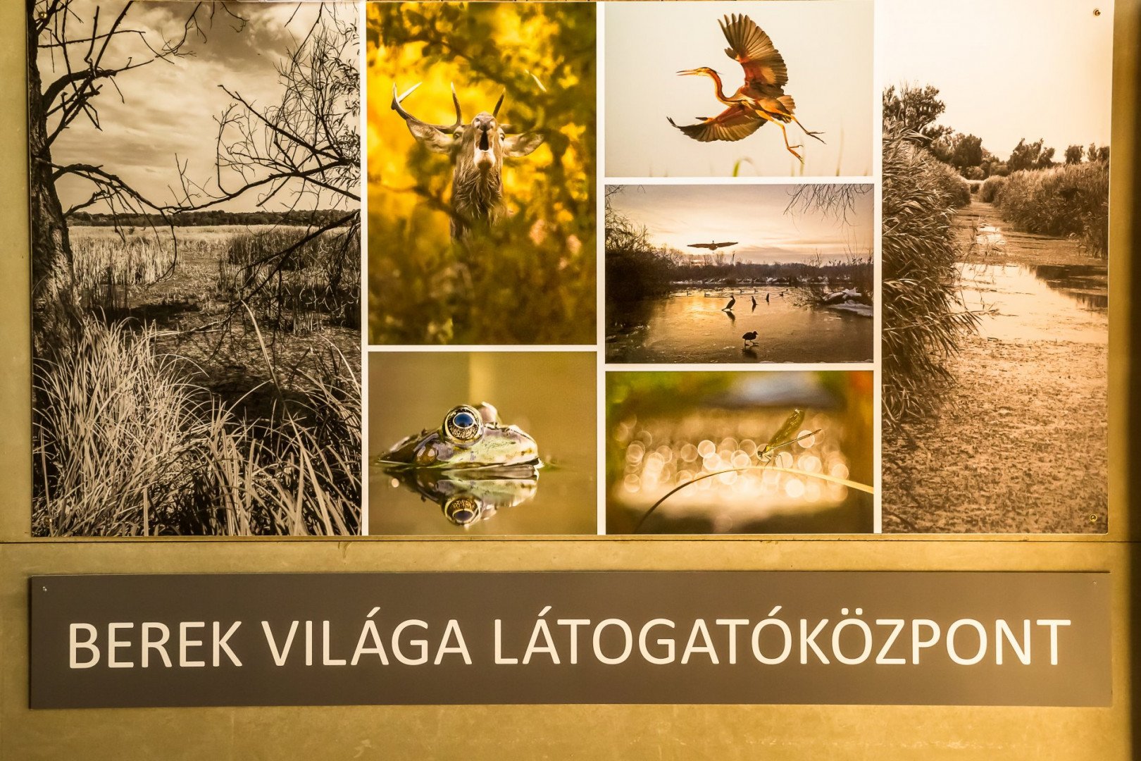 Fonyód - Berek Világa Látogatóközpont
